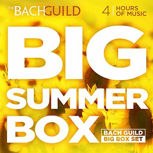 BIG SUMMER BOX (4 HOUR DIGITAL DOWNLOAD)