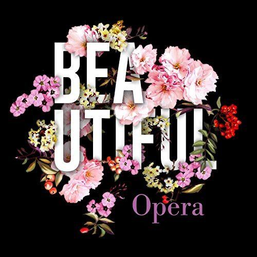BEAUTIFUL OPERA - An Hour of Opera's Greatest Tunes (without the singers!) (DIGITAL DOWNLOAD)
