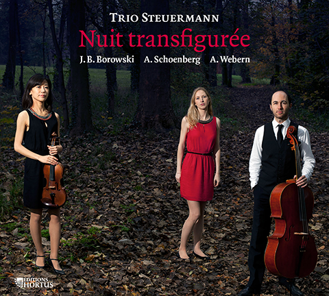 NUIT TRANSFIGUREE (Transcriptions for String Trio of Orchestral Works by BOROWSKI/SCHOENBERG/WEBERN) - Trio Steuermann
