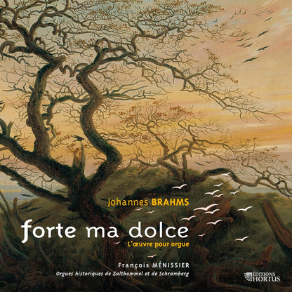 BRAHMS: Forte ma dolce (Complete Organ Works) -  François Ménissier