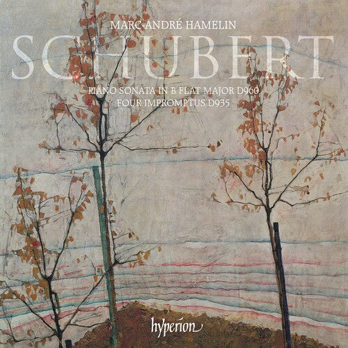Schubert: Piano Sonata D. 960 & Impromptus - Marc Andre Hamelin
