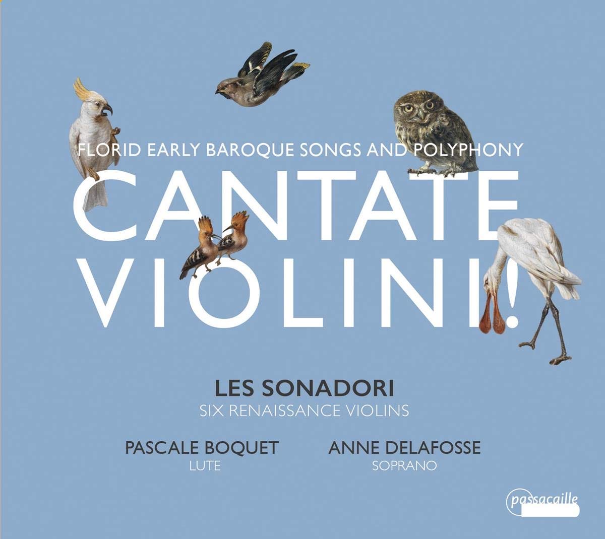 Cantate Violini! Florid Early Baroque Songs and Polyphony - Delafosse, Boquet, Les Sonadoris