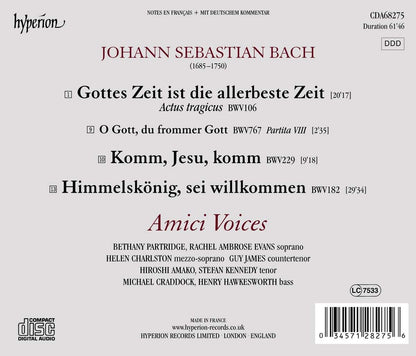 Bach: Cantatas Nos. 106 & 182 - Amici Voices