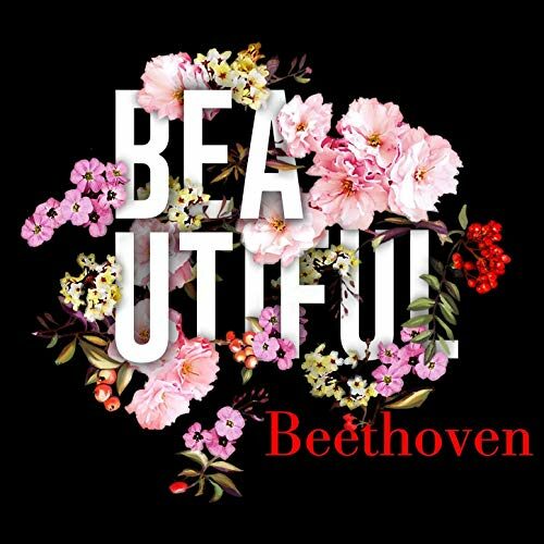 BEAUTIFUL BEETHOVEN - An Hour of Beloved Beethoven (DIGITAL DOWNLOAD)