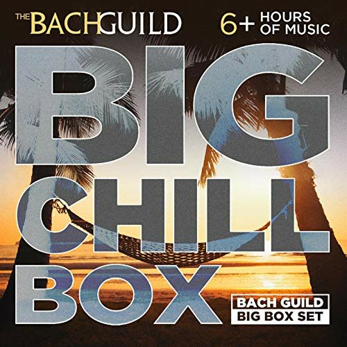 BIG CHILL BOX (6 HOUR DIGITAL DOWNLOAD)