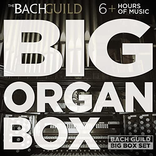 BIG ORGAN BOX (6 HOUR DIGITAL DOWNLOAD)