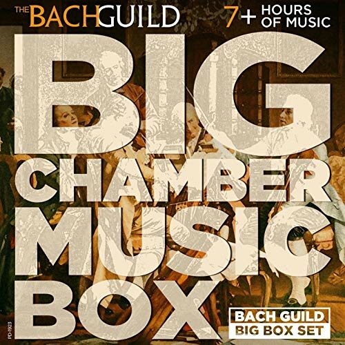 BIG CHAMBER MUSIC BOX, VOL. 1 (7 HOUR DIGITAL DOWNLOAD)
