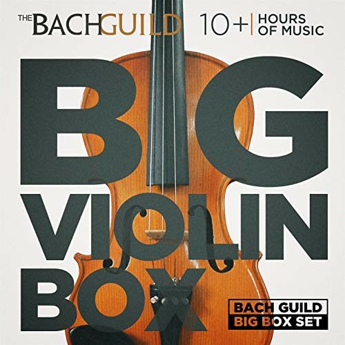 BIG VIOLIN BOX (10 Hour Digital Download)