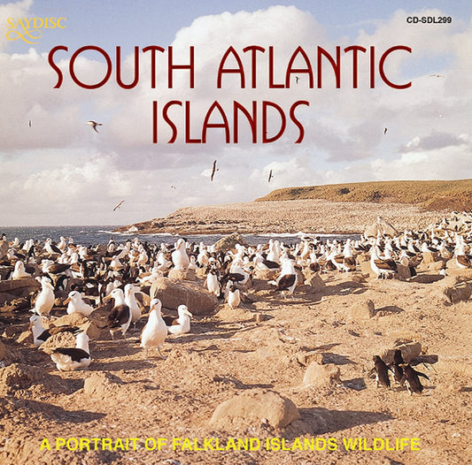 South Atlantic Islands: A Portrait of Falkland Islands Wildlife (Natural Sound)