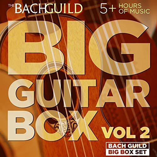 BIG GUITAR BOX, VOL. 2 (5 Hour Digital Download)