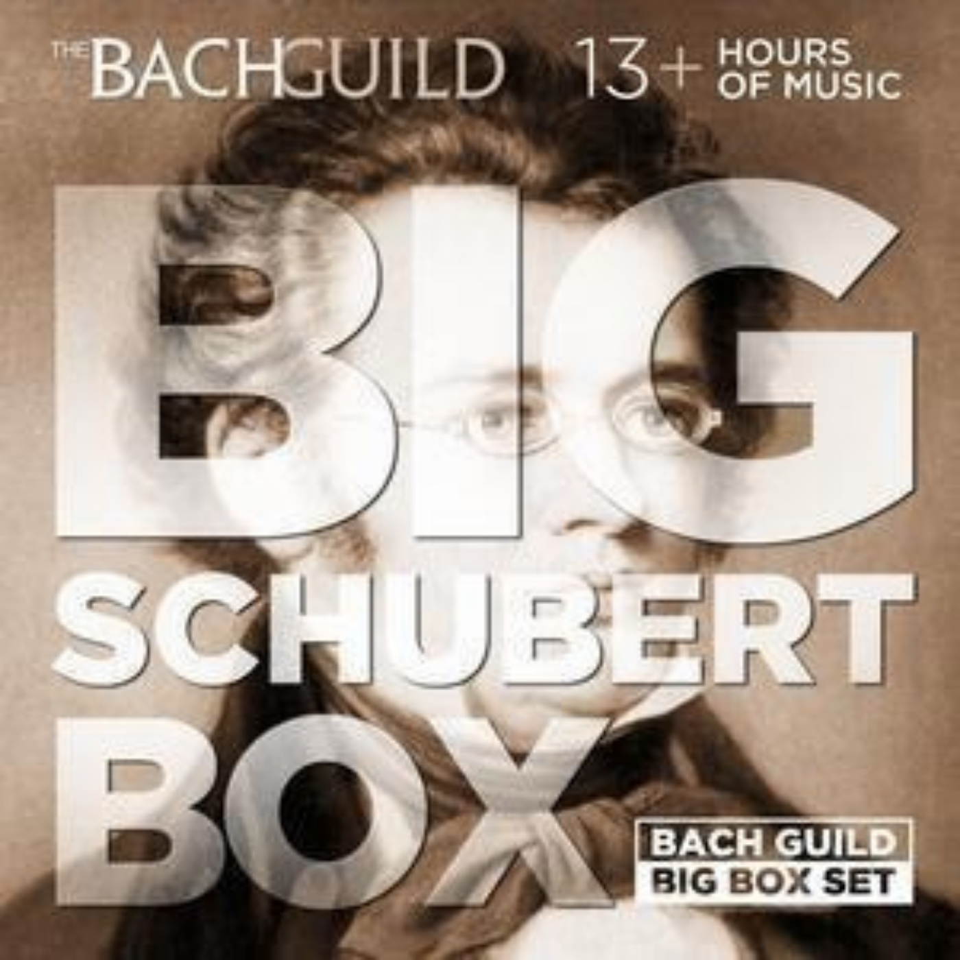 Big Schubert Box (13 Hour Digital Download Boxed Set)